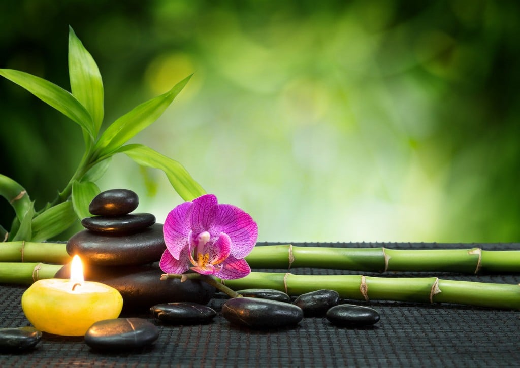 Beauty and Wellness