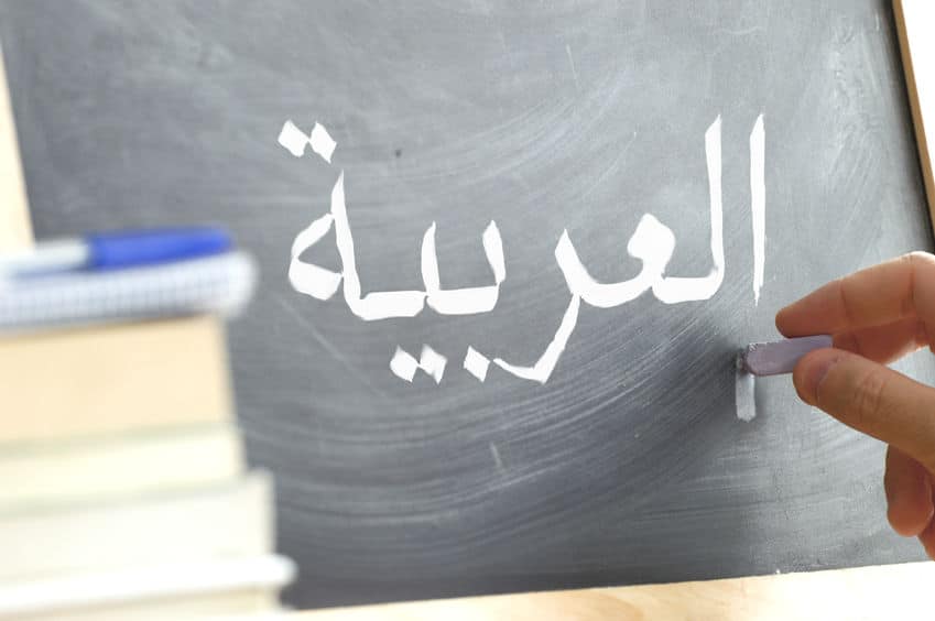 Arabic courses