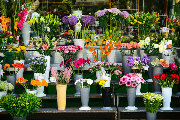Florist