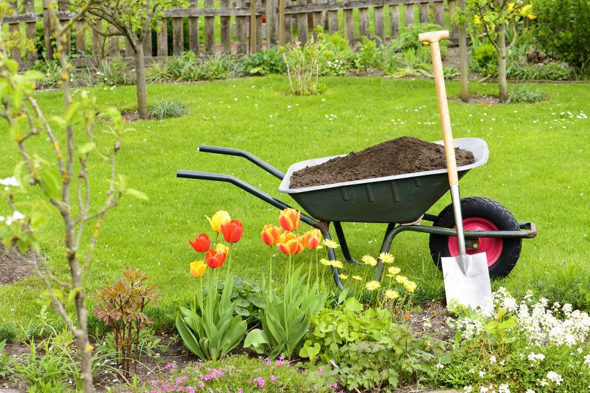 Gardening