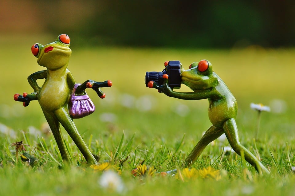 Photo model