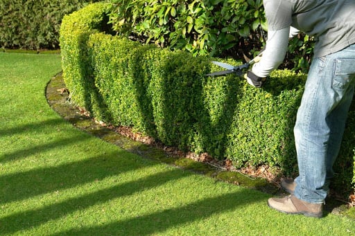 Landscaper