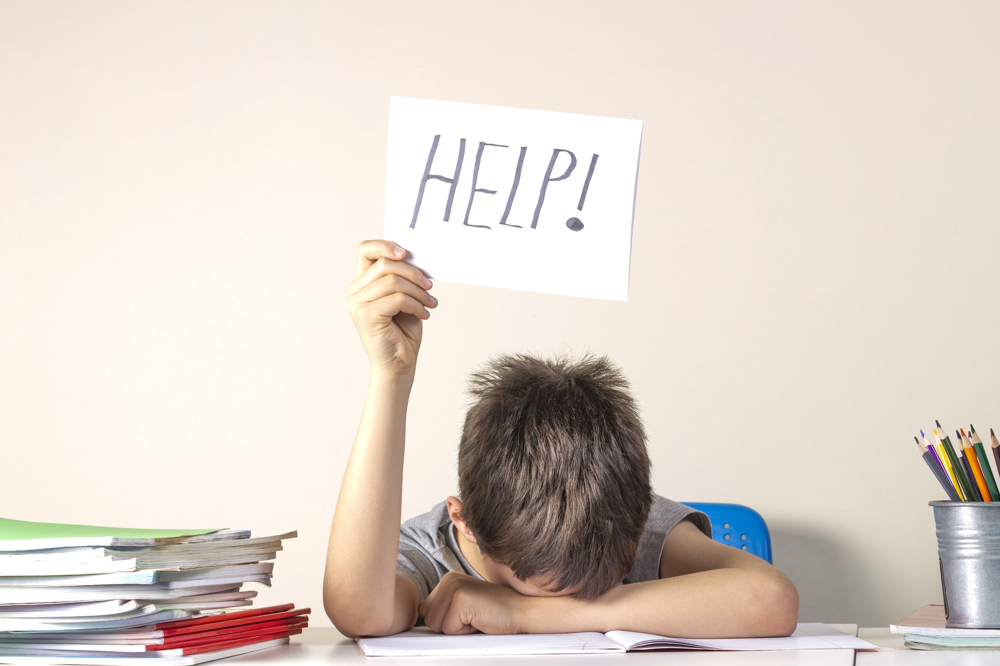 Academic support