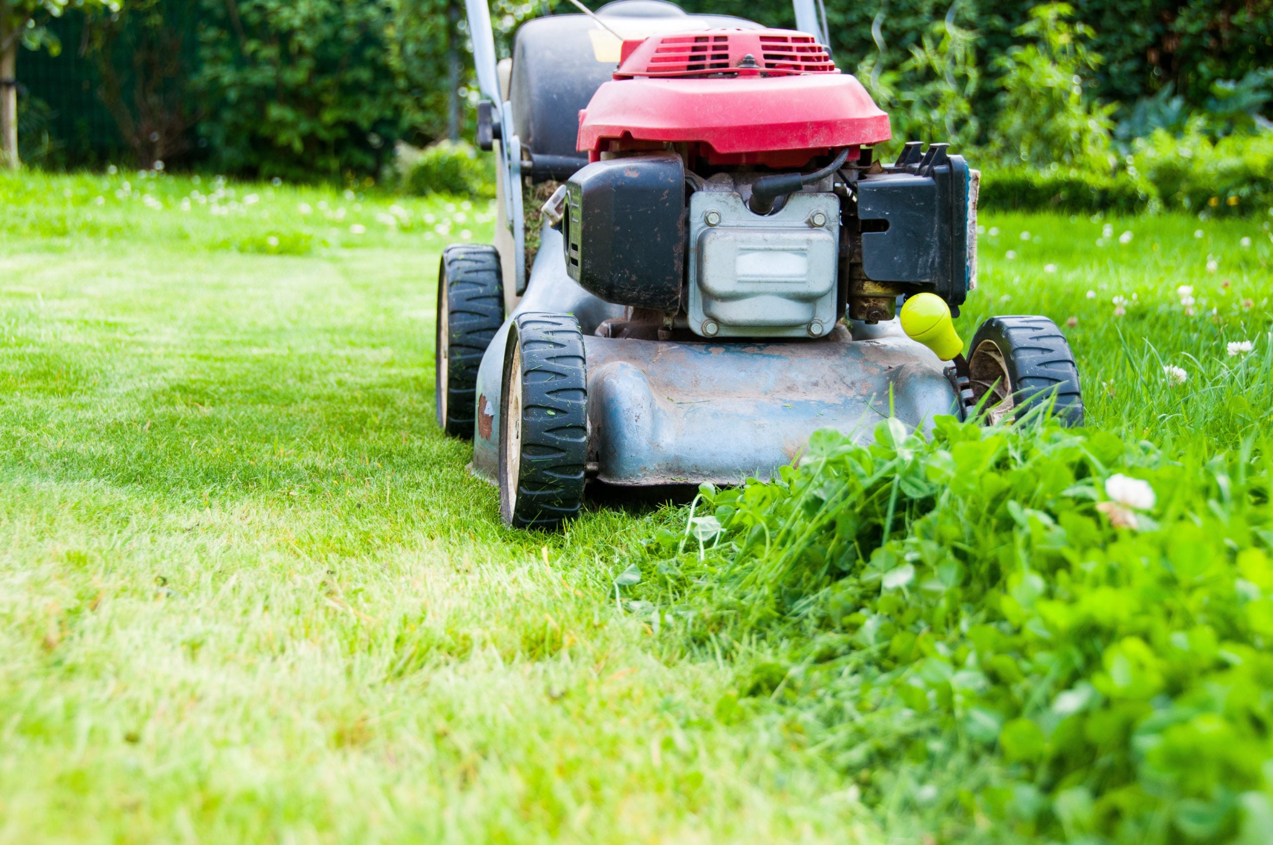 Lawn mowing