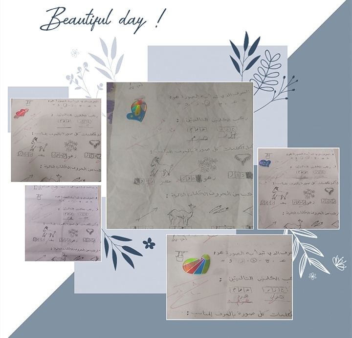 Habibe Ibrahimoglu - portfolio - 2
