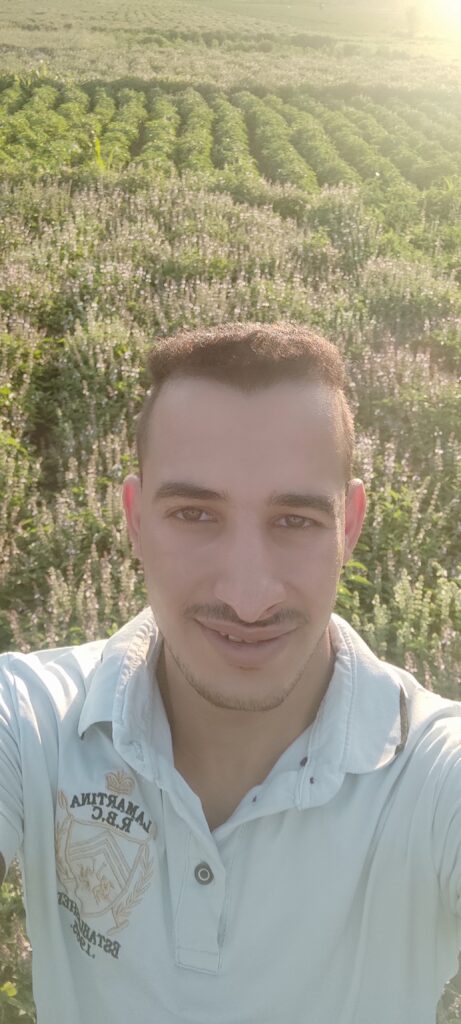 Mahmoud Rizk Mahmoud - portfolio - 0