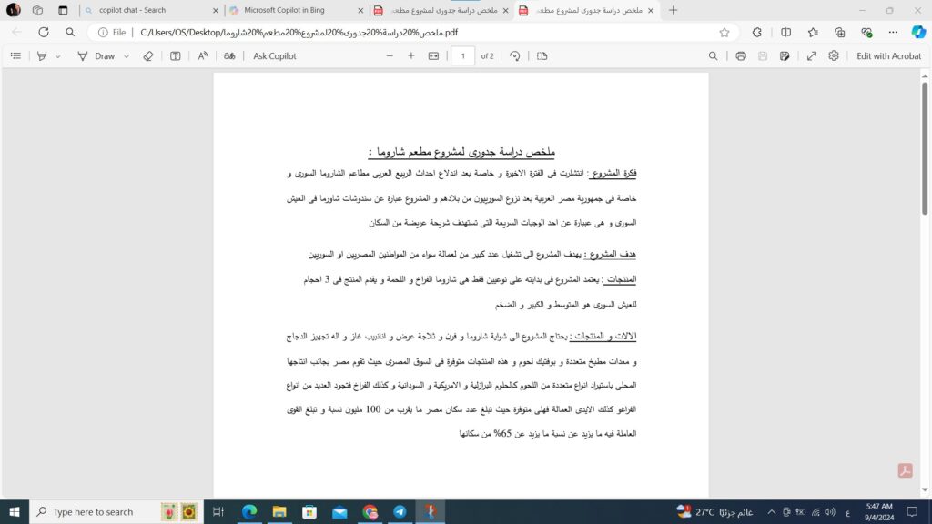 I will prepare a full feasibility study only in two days - portfolio - 2