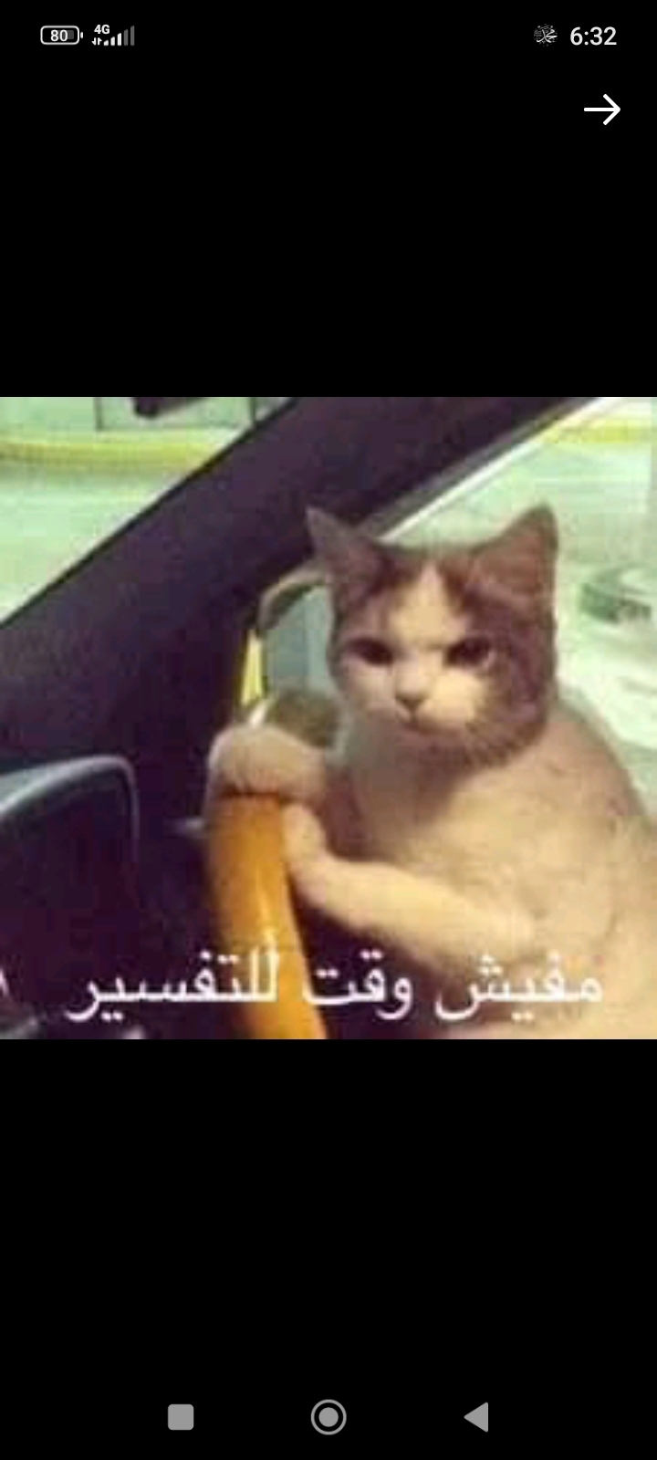 Amal Alsayed