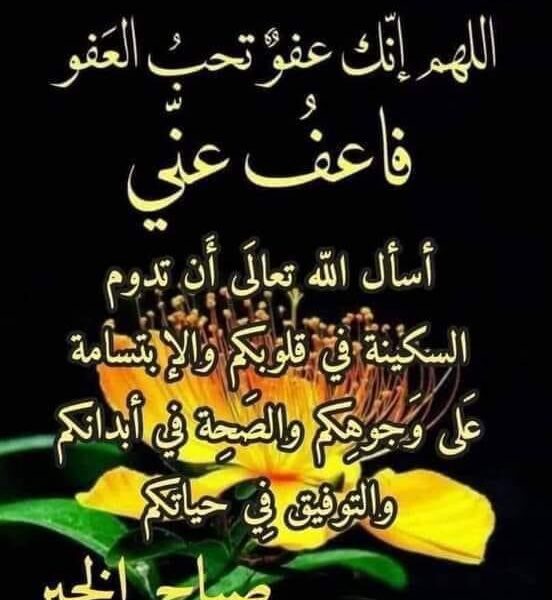 heba Shoman