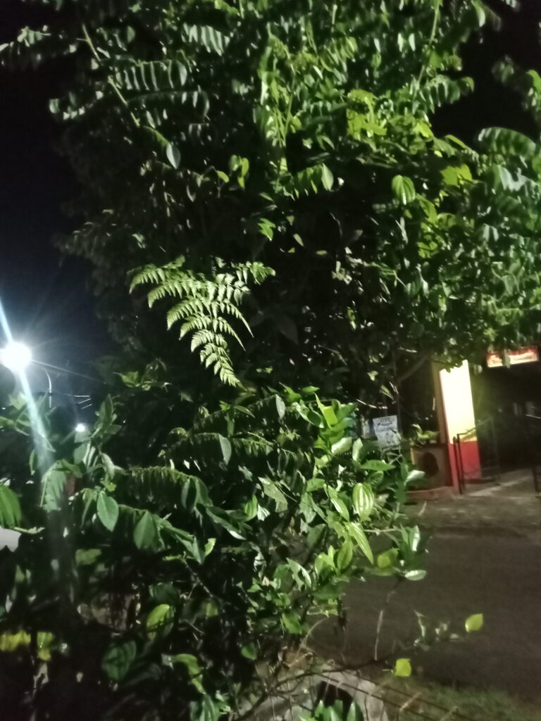 Edi Supardi  - portfolio - 0