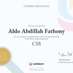 CSS