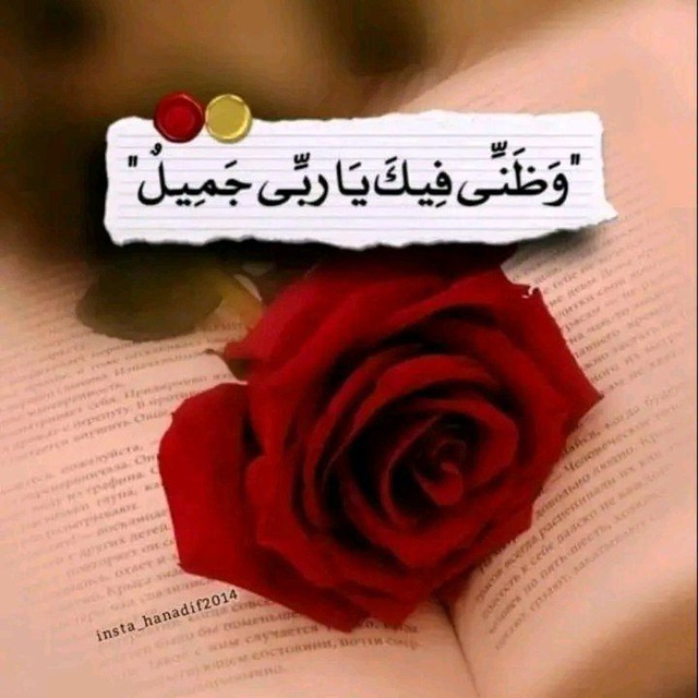 محمود اخمد