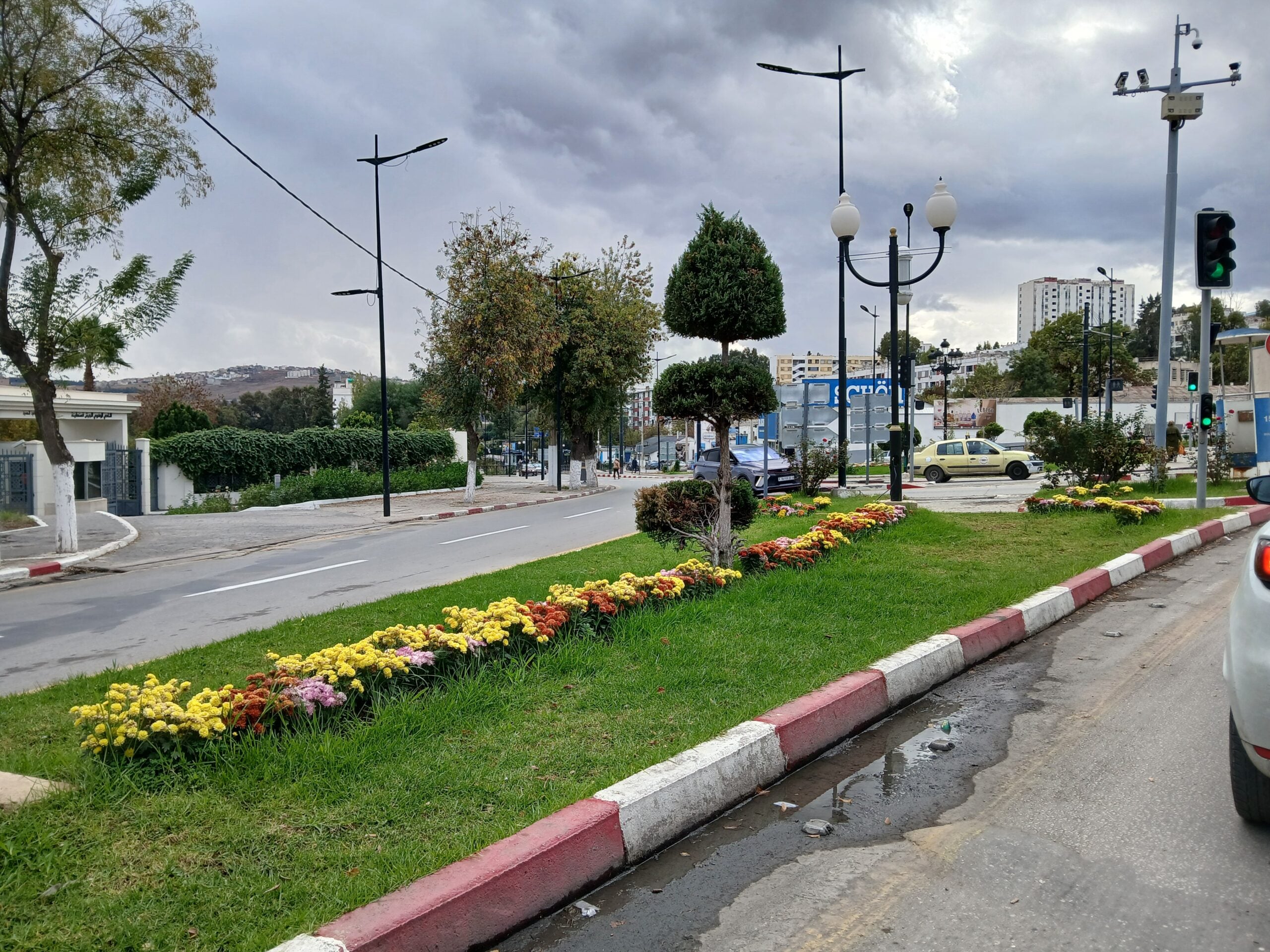مروان بيشاوي 
