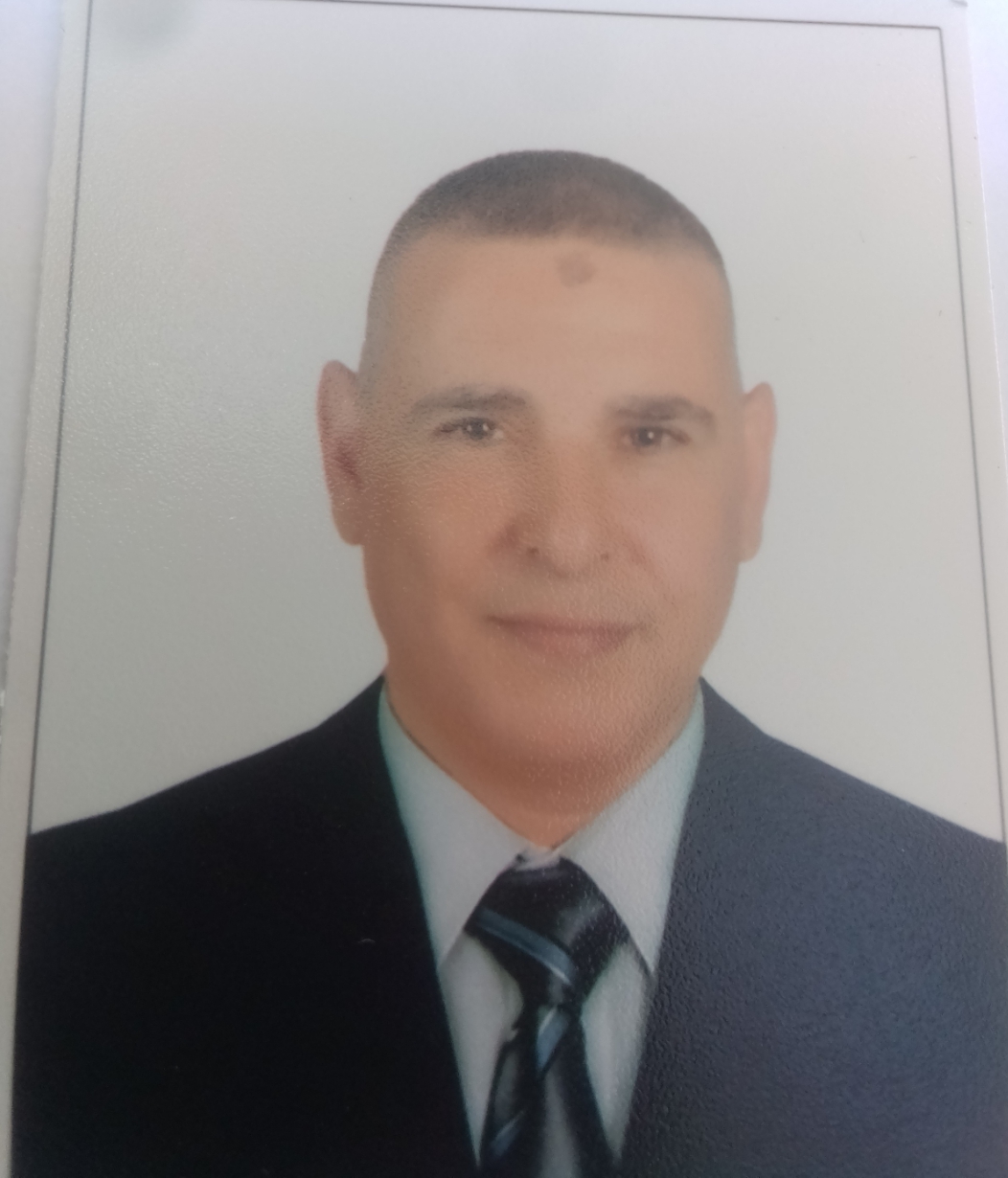 نشأت المصرى المصرى