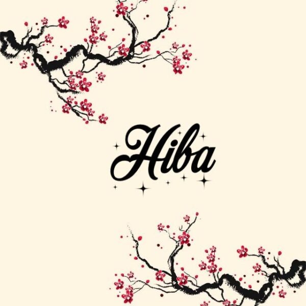 Heba Adil