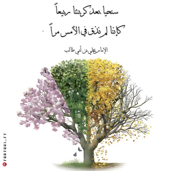 حوراء شربو