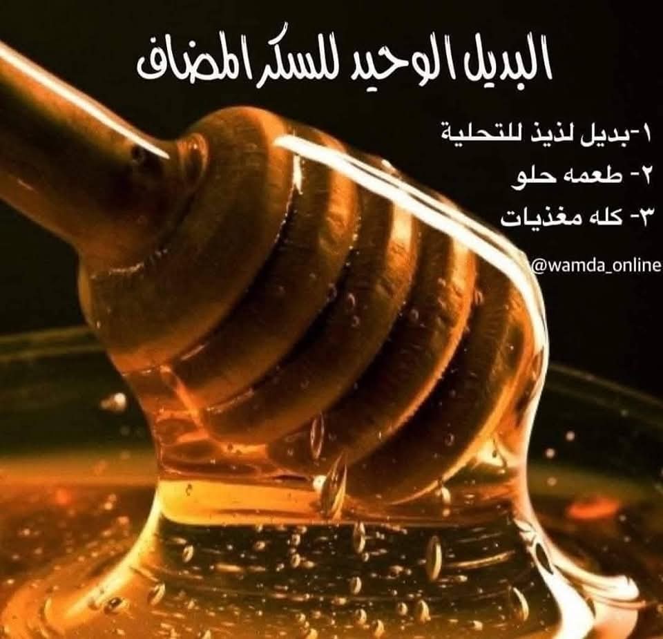 محمود المصرى  المصرى 
 ...