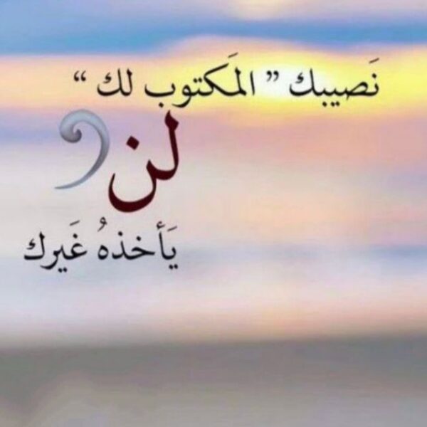 Reem Mohammed Adam