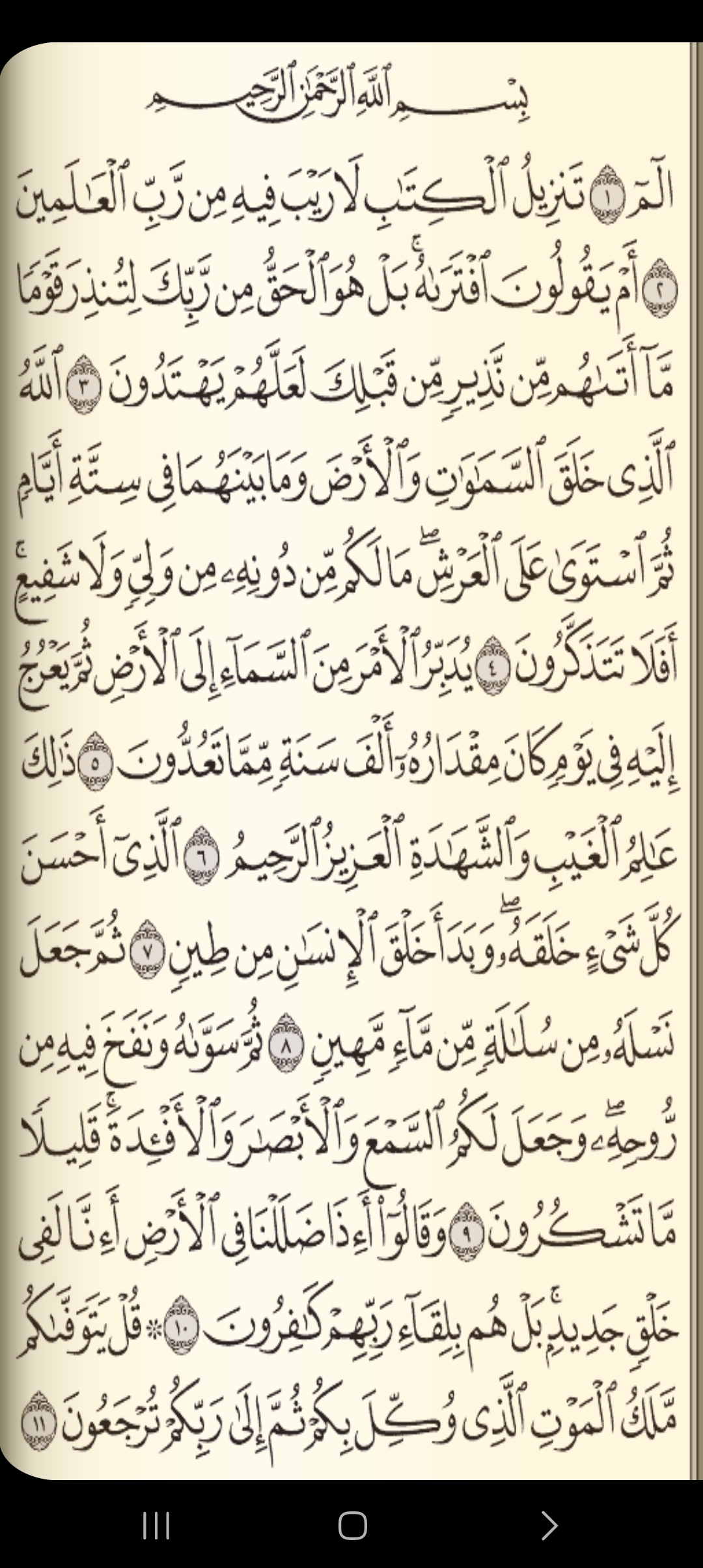 Esraa Mahmoud Ahmed Mohamed - cover