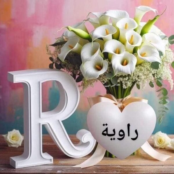 rawih amer