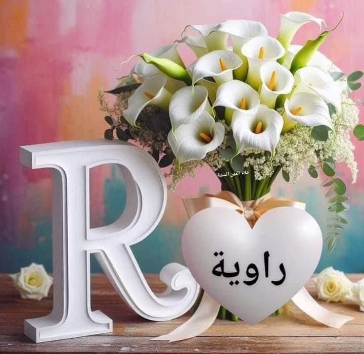 rawih amer