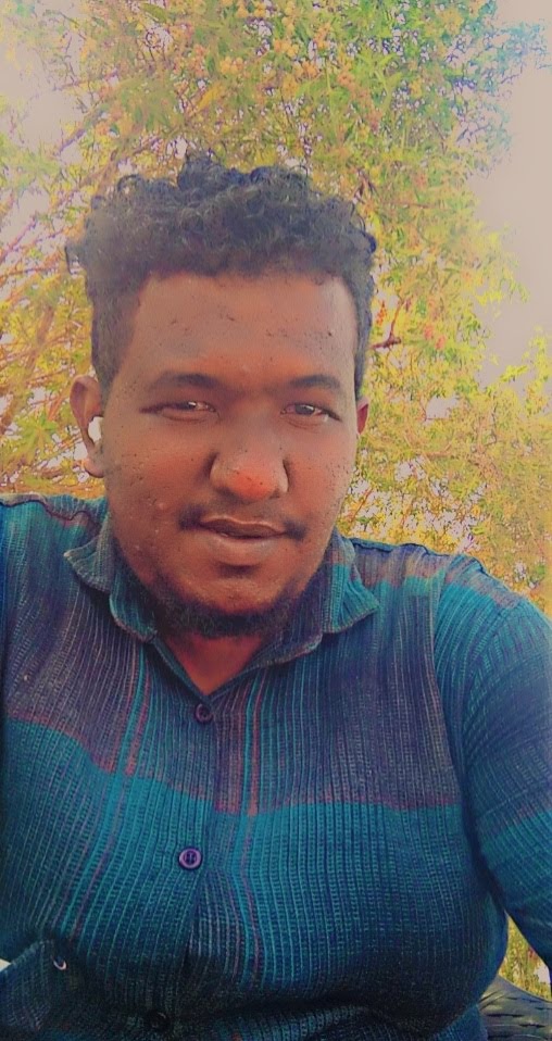 Mohamed Elamin Abu elhassan