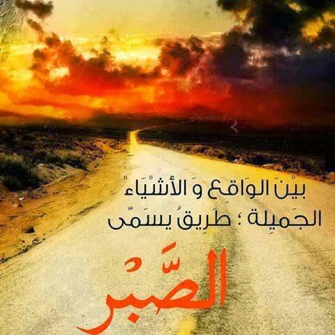 كتابه قصص طويله وقصيره في شتي المجالات الثقافيه  - portfolio - 0