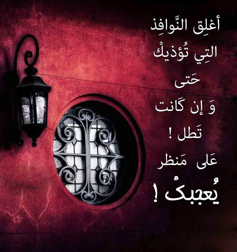 mohamed naser - portfolio - 0