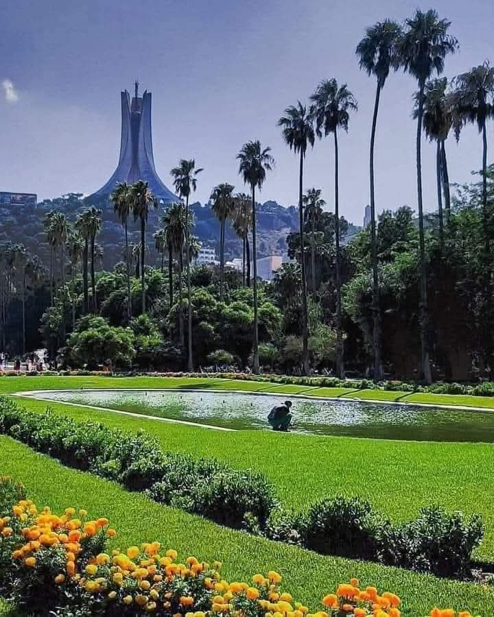 نورالدين لهلالي