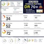 I can increase your website Ahrefs any point to DR 40, DR 50,DR 60, DR 70 MOZ Domain Authority (DA) upto 50+ with in 40 days 💯 Spam Free