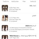 Create advertising campaigns on social media platforms 
