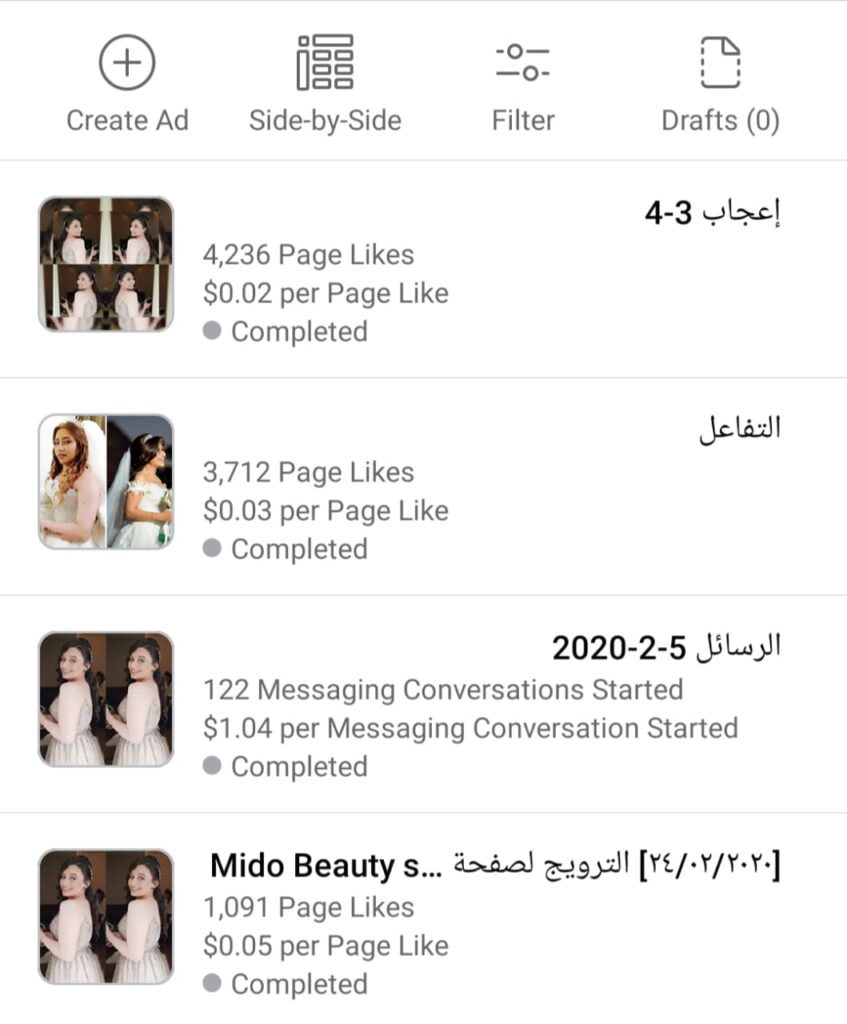 Créer des campagnes publicitaires sur les plateformes de médias sociaux  - portfolio - 0
