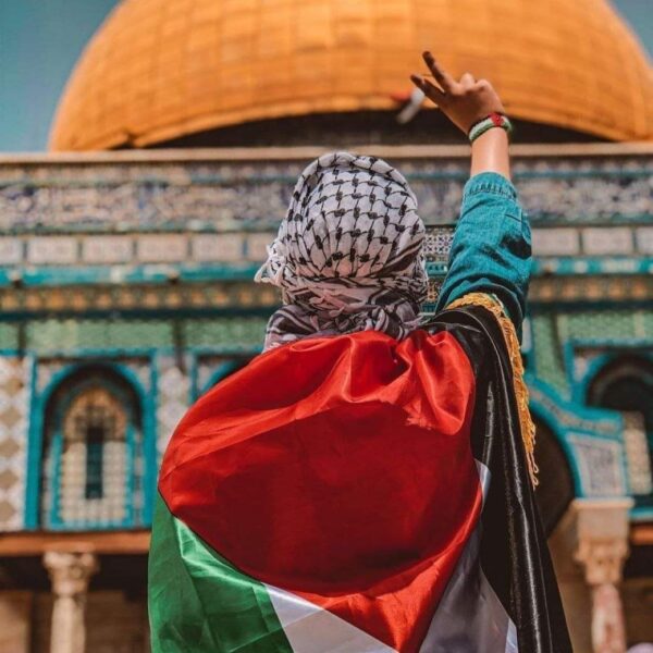 علي محمد علي  الحداد
