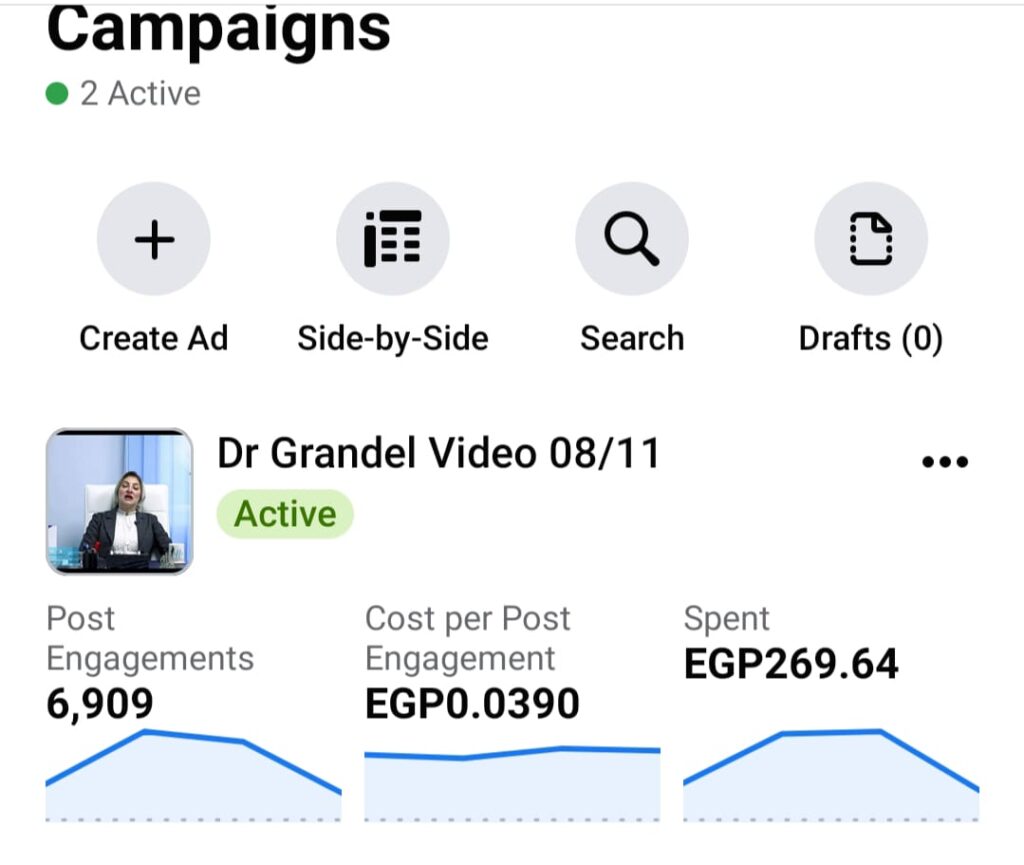 Créer des campagnes publicitaires sur les plateformes de médias sociaux  - portfolio - 1