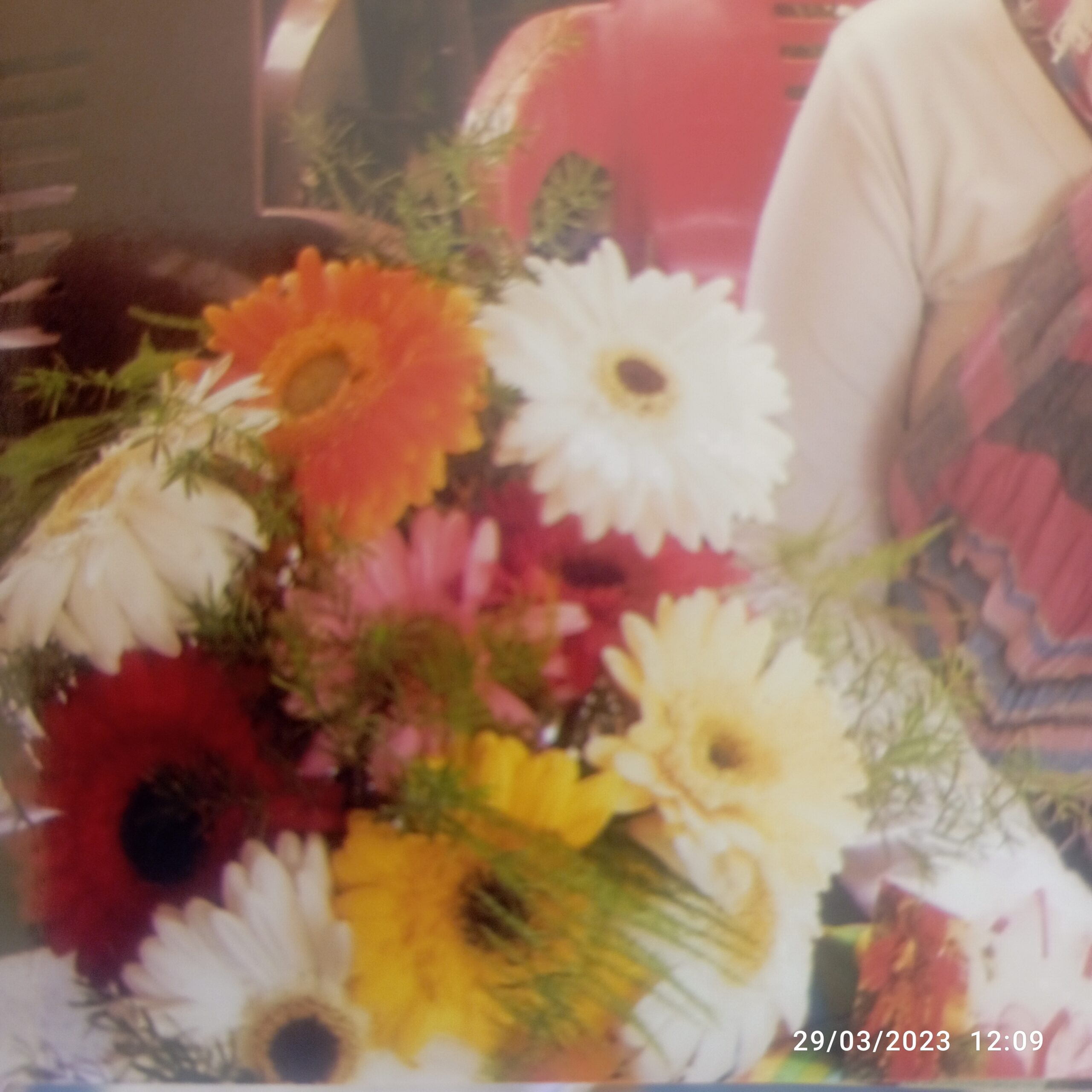 Amel Abdelnabi  - cover