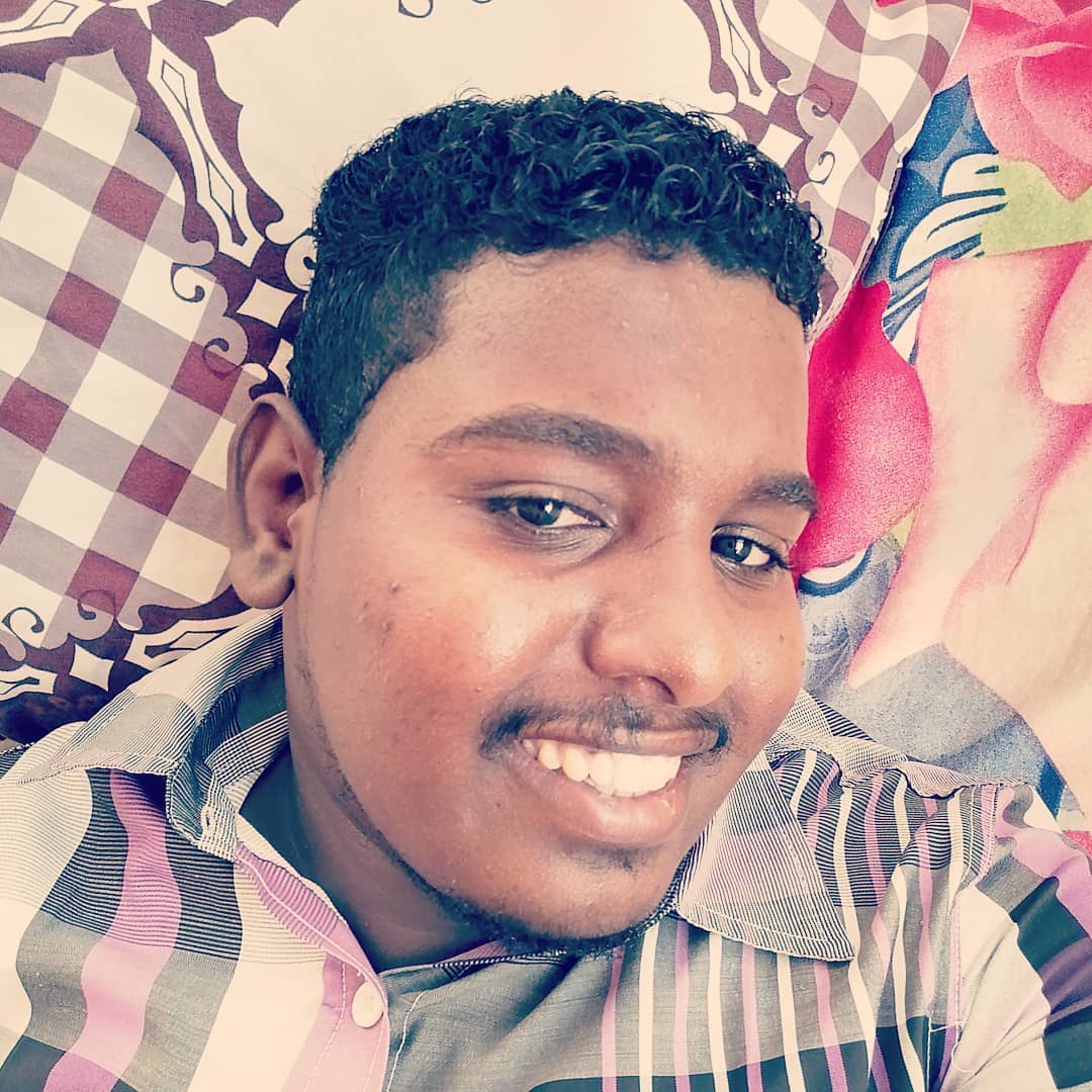 Abdelbagi Ahmed - الغلاف