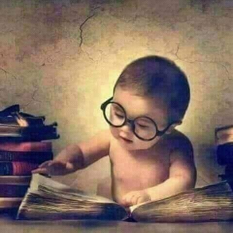 ALI Abeda