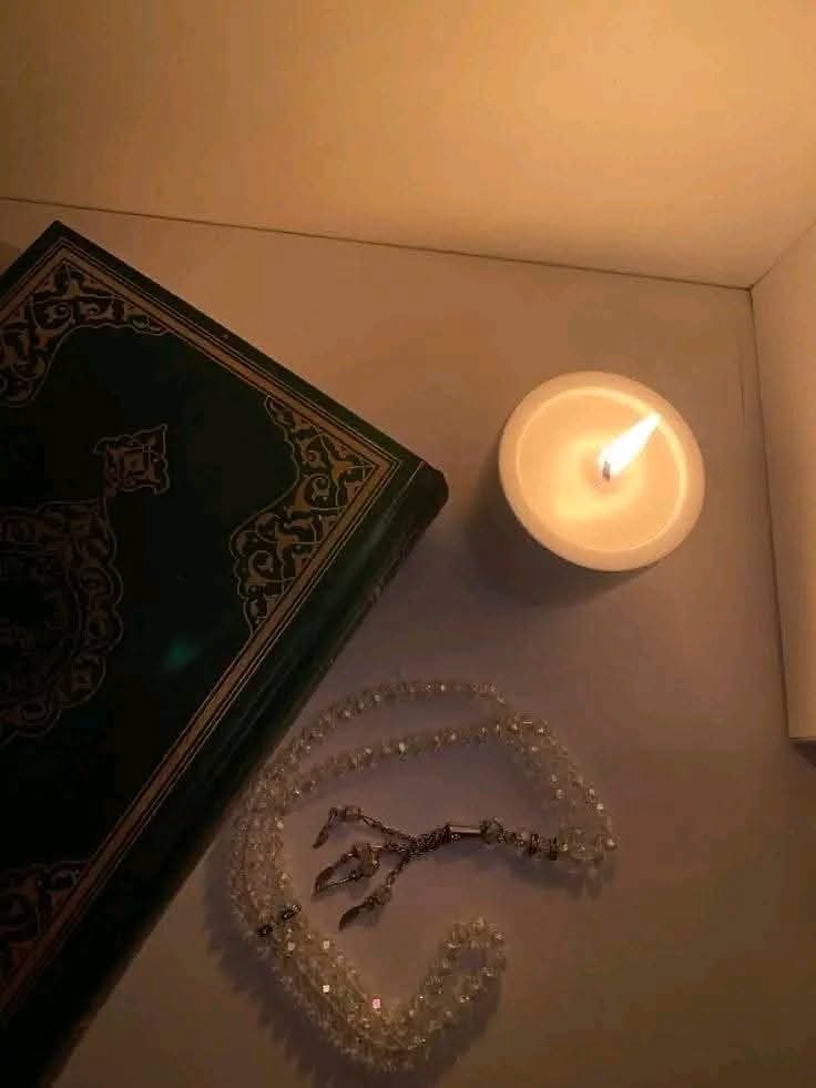 Mohamad Alnagar Alnagar - cover