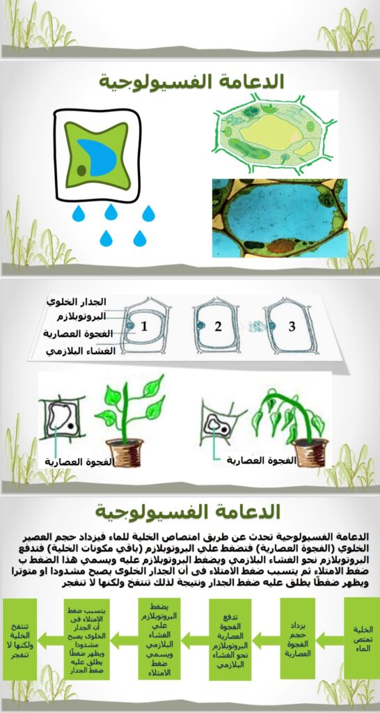 تصميم شعارات وعروض تقديمية بوربوينت - portfolio - 2