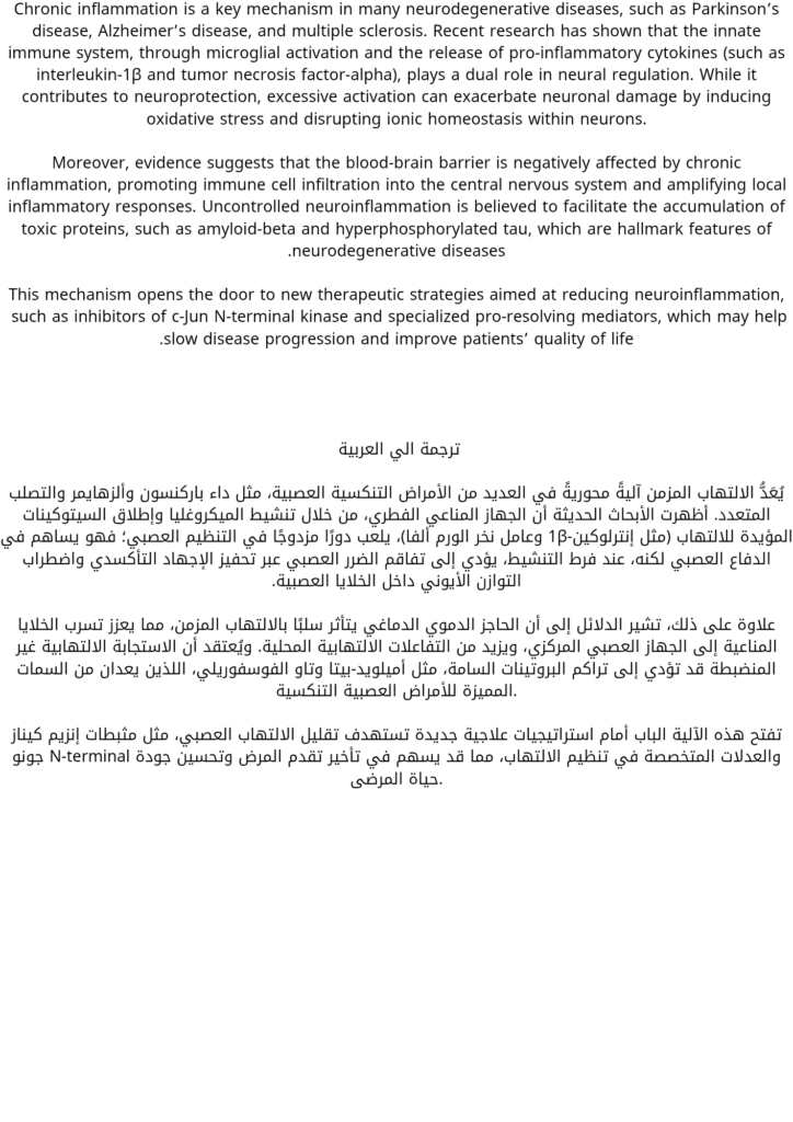 Doaa Hamdy Doaa - portfolio - 0