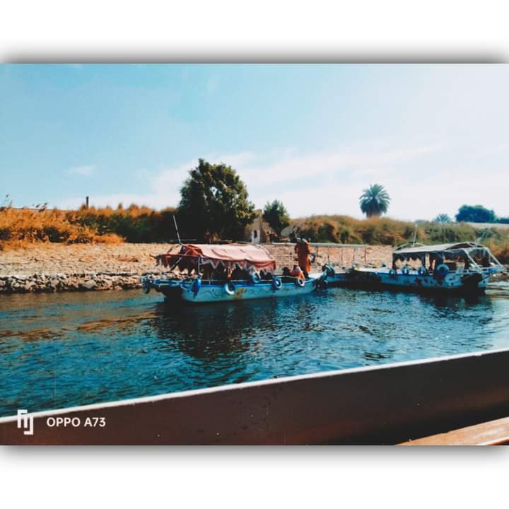 Rahma Mustafa - portfolio - 1