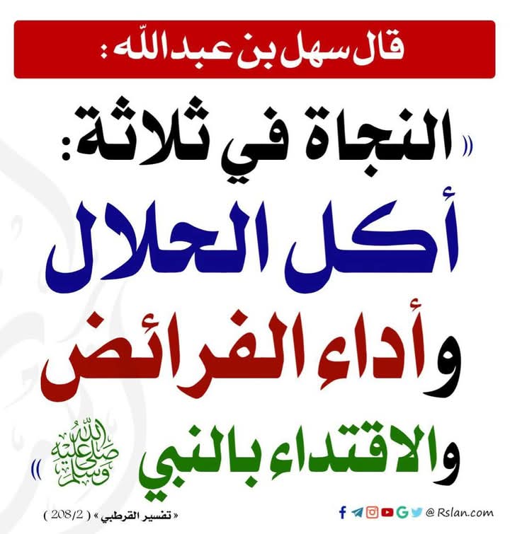 محمد  يونس  - portfolio - 2