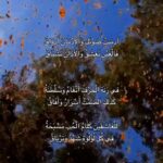 Writer of interesting and interesting literary articles in Arabic - Remote