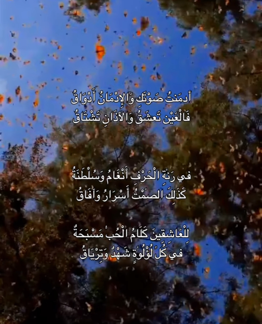 ilyes berchaoua - cover