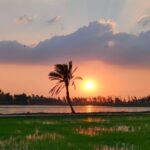 Ahmed Hussein - Beni Suef, Egypt