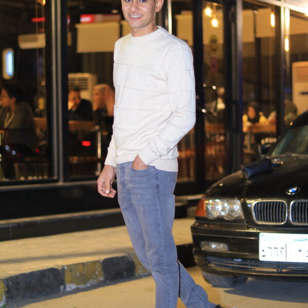 ahmed Ahmed Hamdy