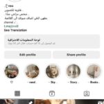 I will create all your pages on Social Media I will take care of the content Respond to messages Confirm orders Permanent publication in golden times and reach your target audience - Remote