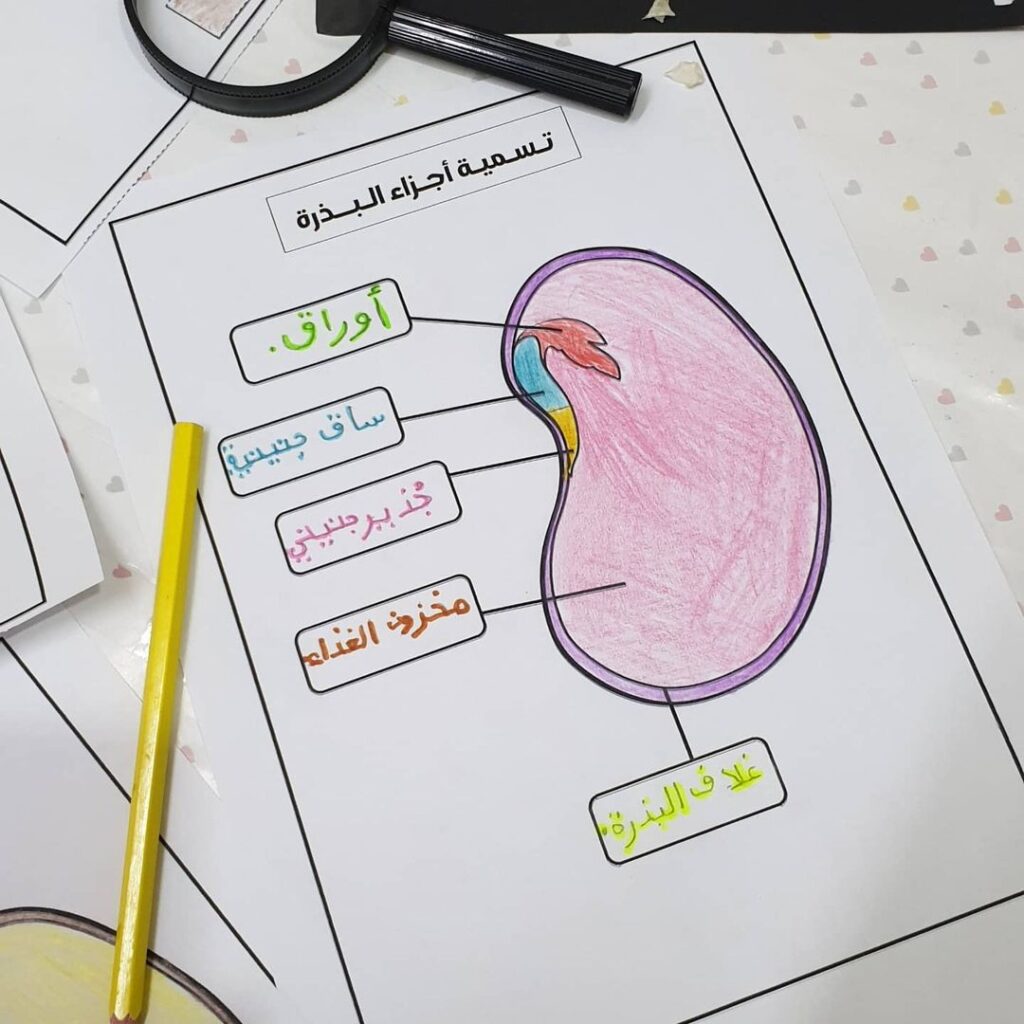 The oldest lessons in biology - portfolio - 2