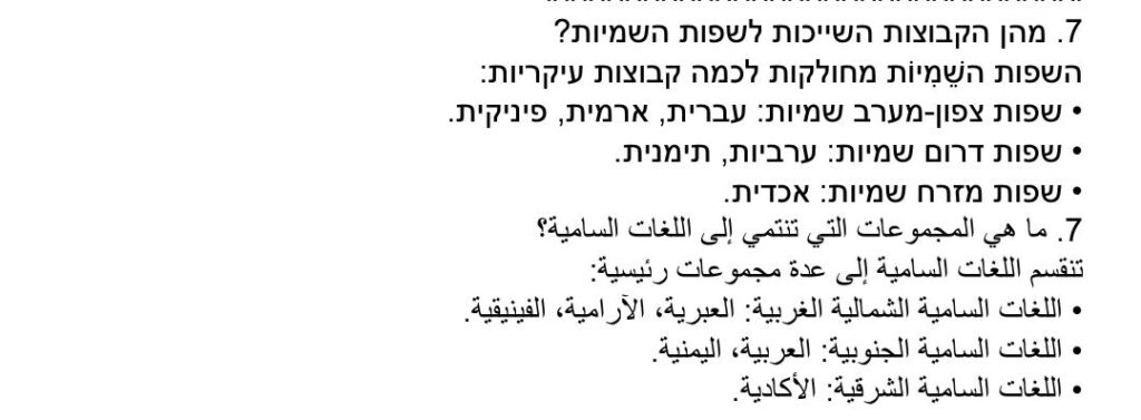 Mohamed Neseem - portfolio - 0