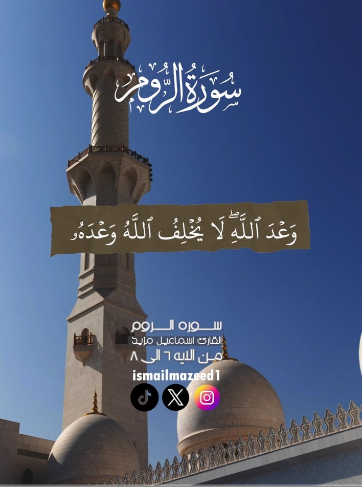 Ahmed mazeed mazeed - portfolio - 1